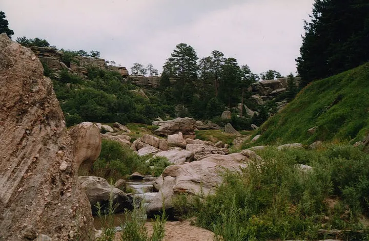 Image of Cherry Creek