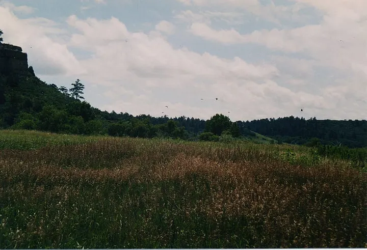 Open fields (with Turkey Vultures above)