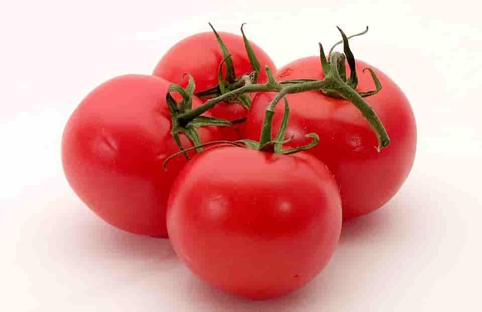 Four Ripe Tomatoes