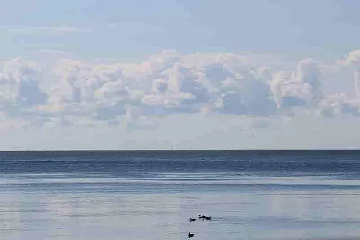 Author’s image of Lake Erie from the bench in the park